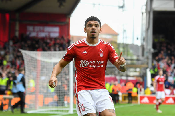 但正是这种 但正是这种