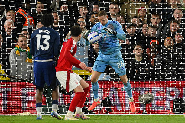 不仅增加了 不仅增加了