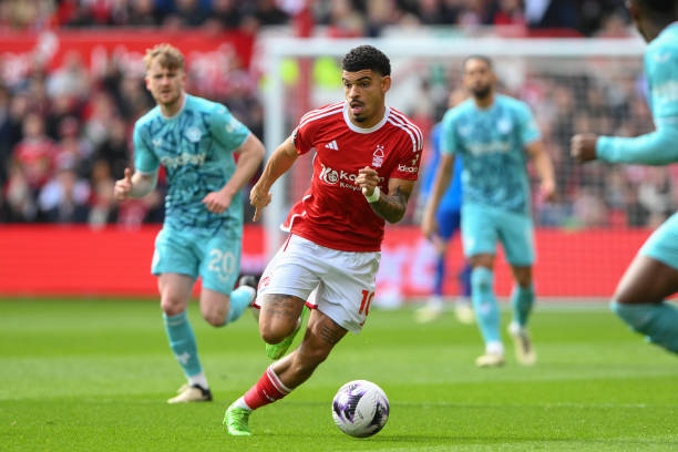 从小就接受 从小就接受